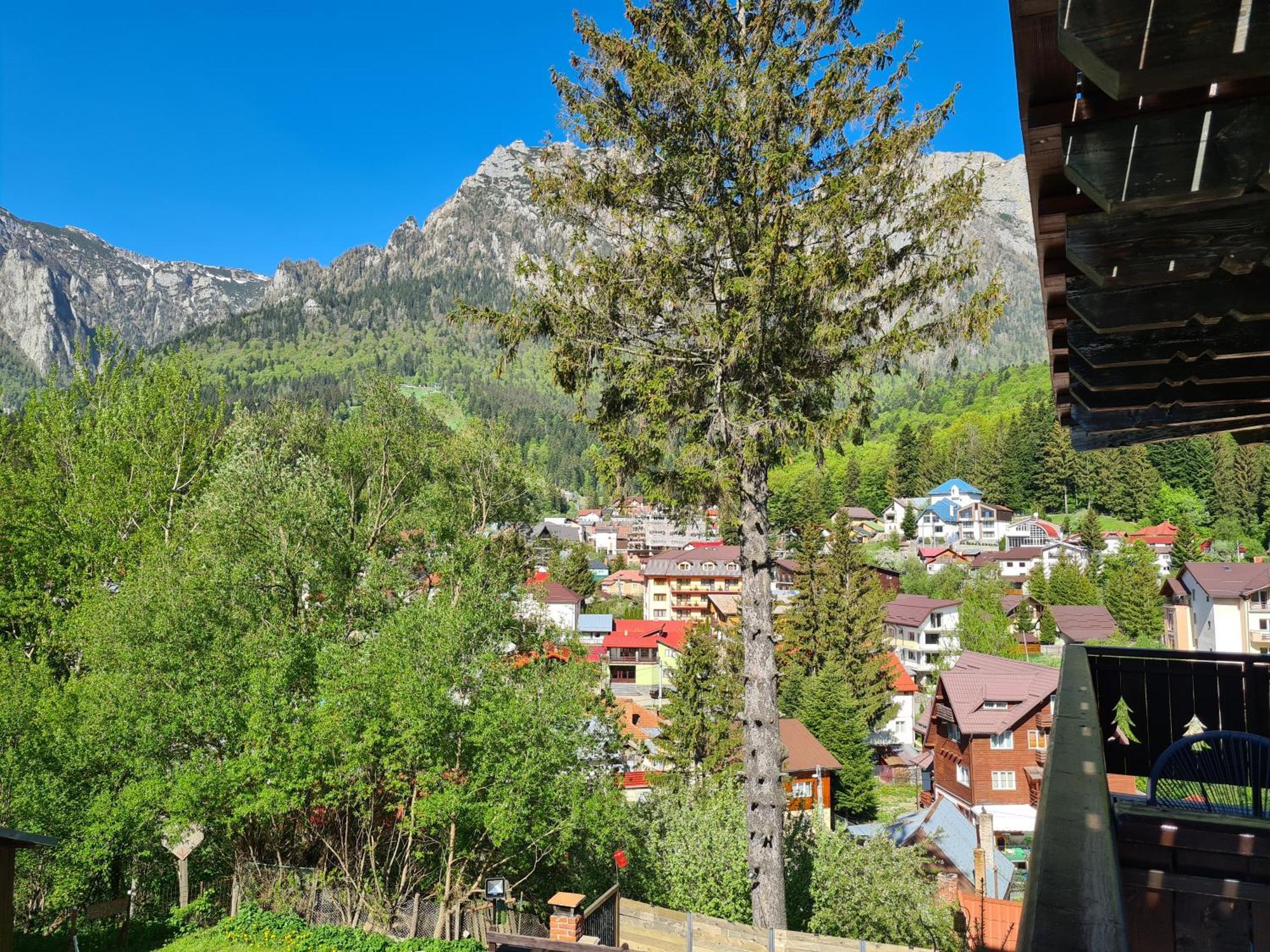 Casa Florescu بوستين المظهر الخارجي الصورة